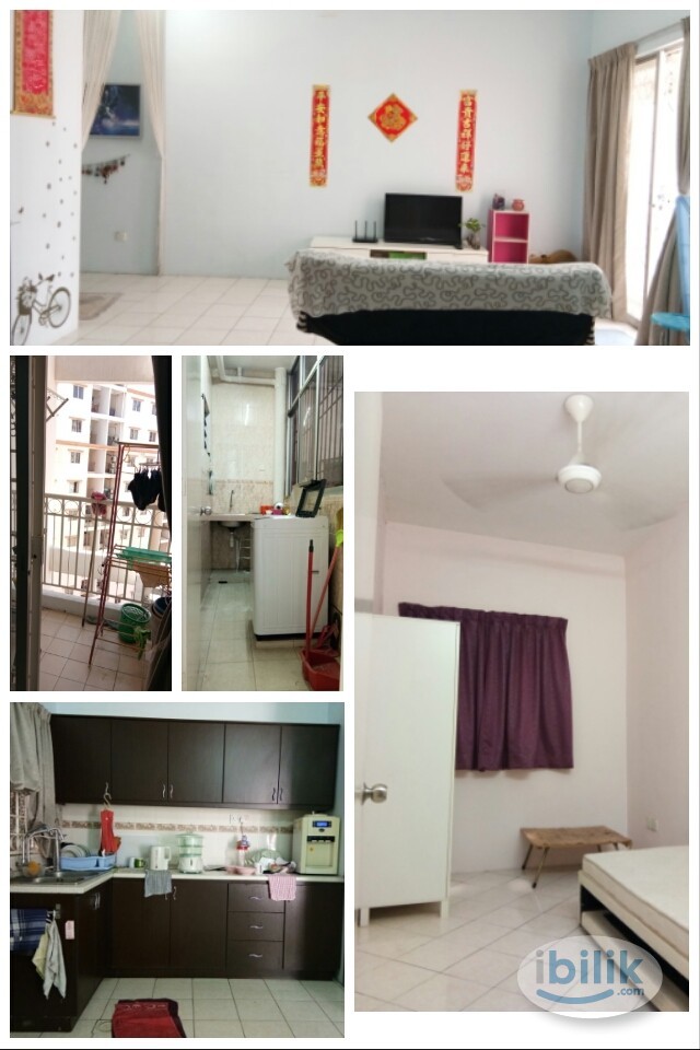 CHINESE FEMALE ONLY, Small Room, Bayu Puteri Tropicana - Image 4