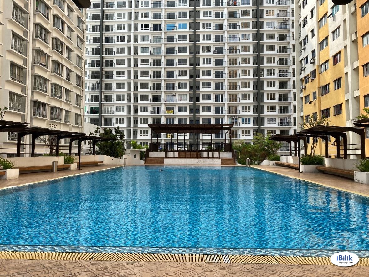 Single Room Fully Furnished at Brand New Apartment - Image 1