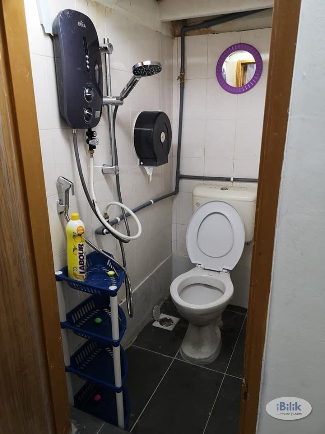 Ready Move In 🌈 Room for rent SS2 PJ. Free WiFi 🚀 - Image 3