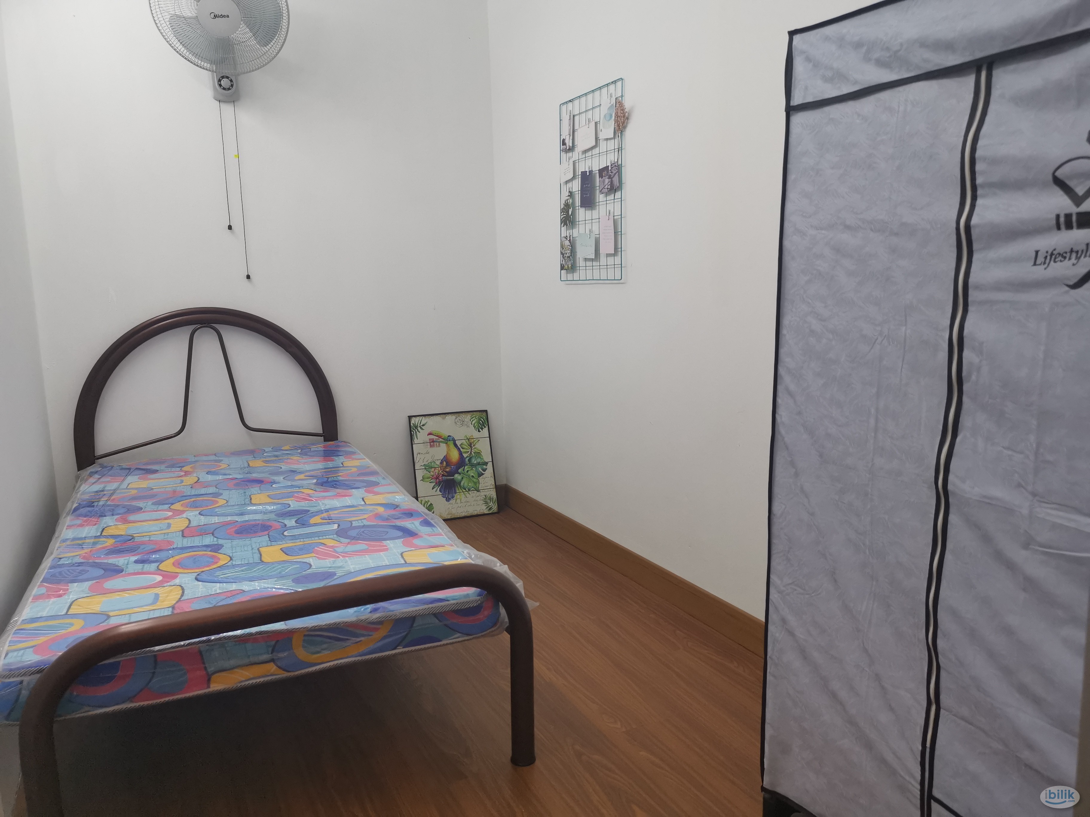 Walking Distance to KDU Damansara Campus 🚶‍♂️ Single Room Rent in Damansara Jaya - Image 1
