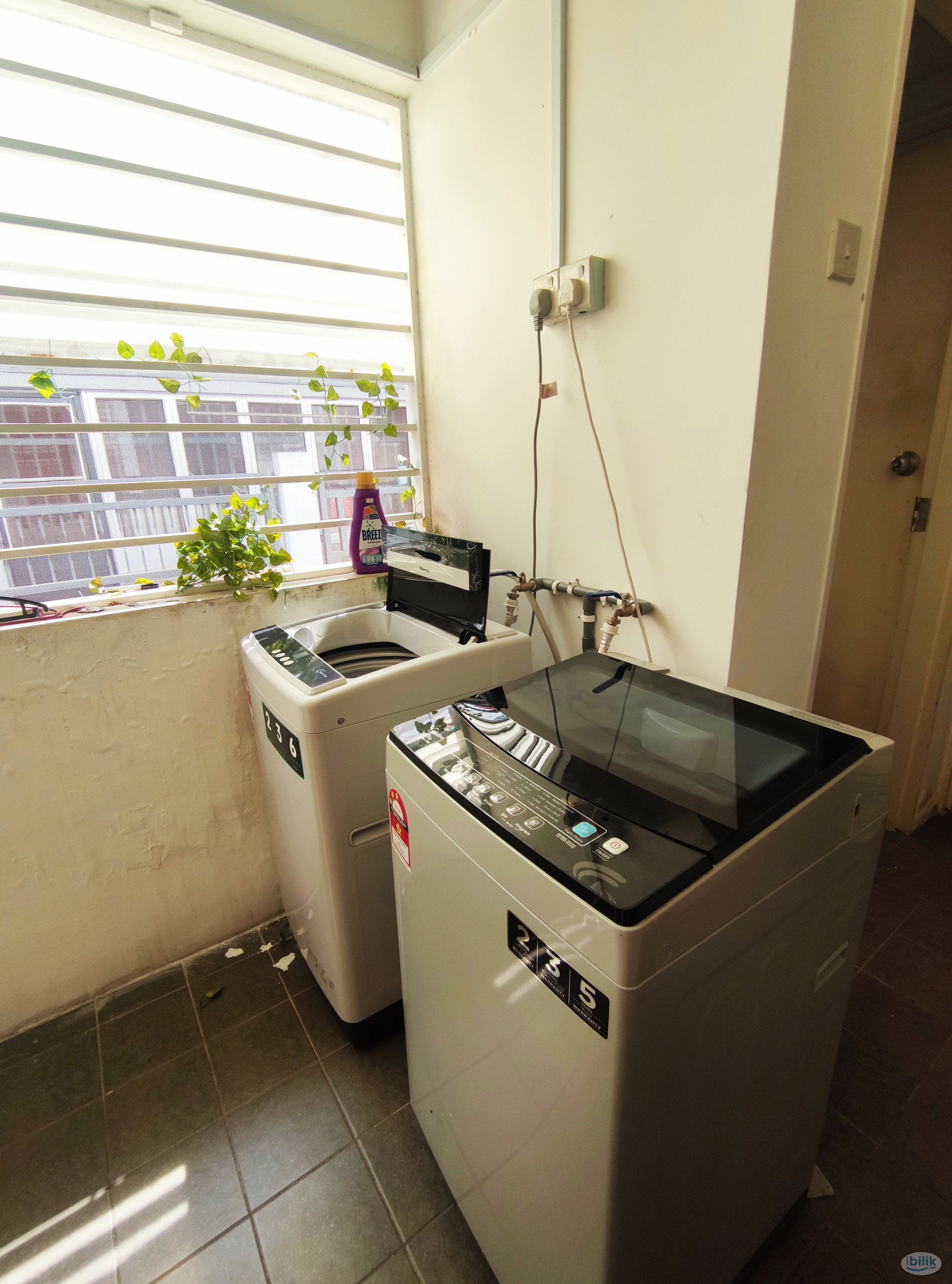 One month deposit 🚀 Single Room at Setia Indah, Setia Alam - Image 3