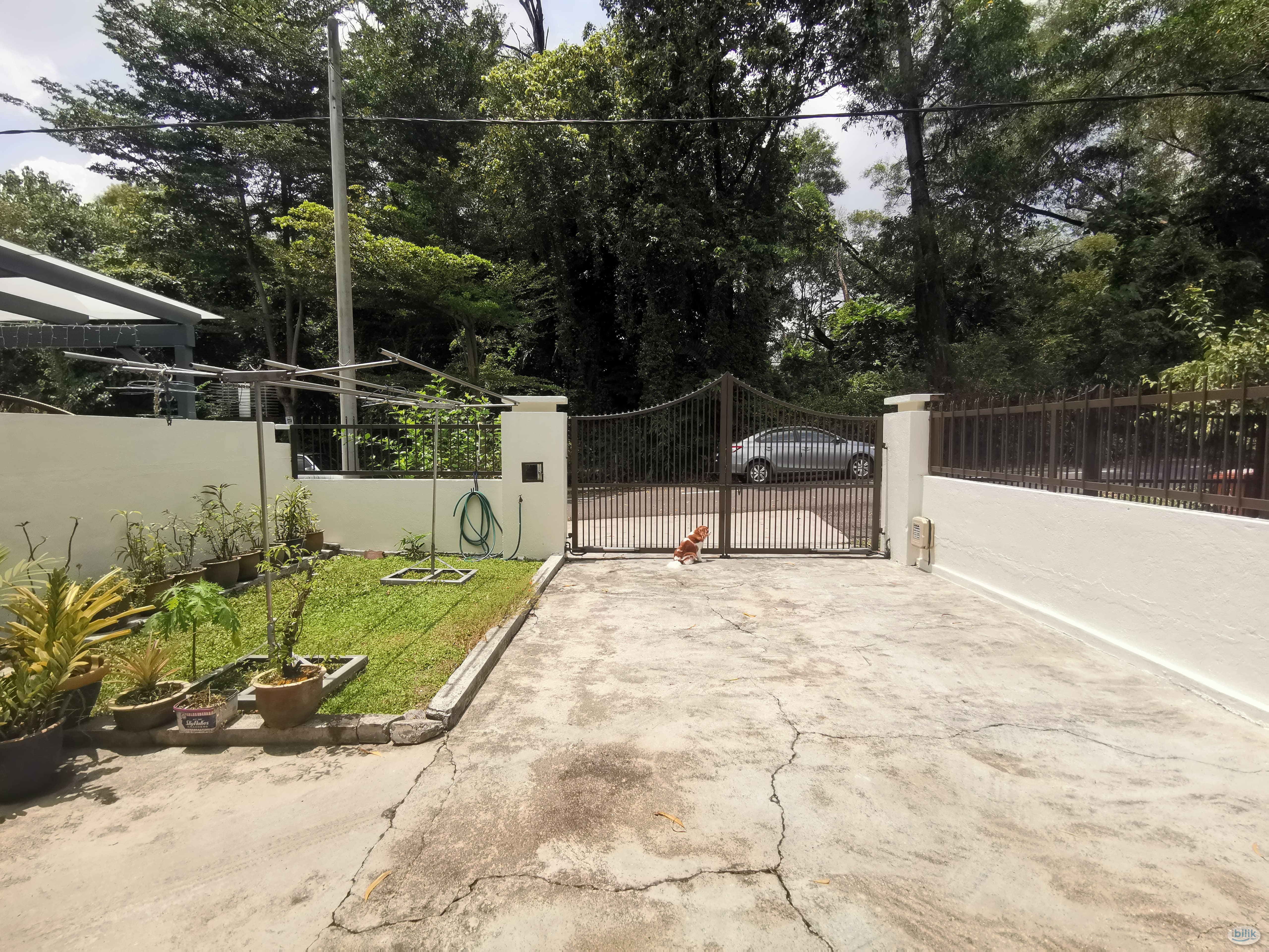 Single Room at SS4, Kelana Jaya - Image 3