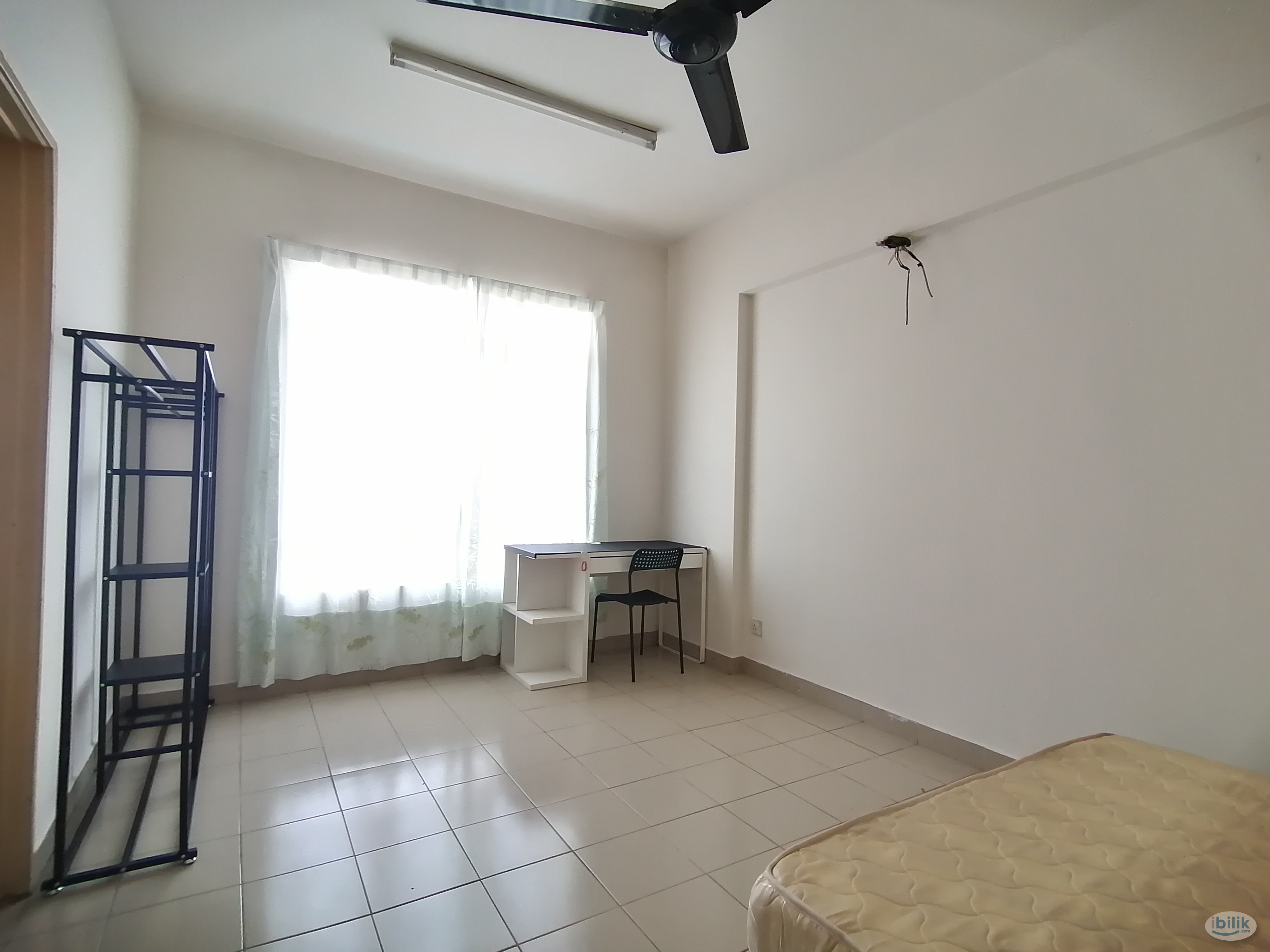 All Female Unit Master Room - Image 4