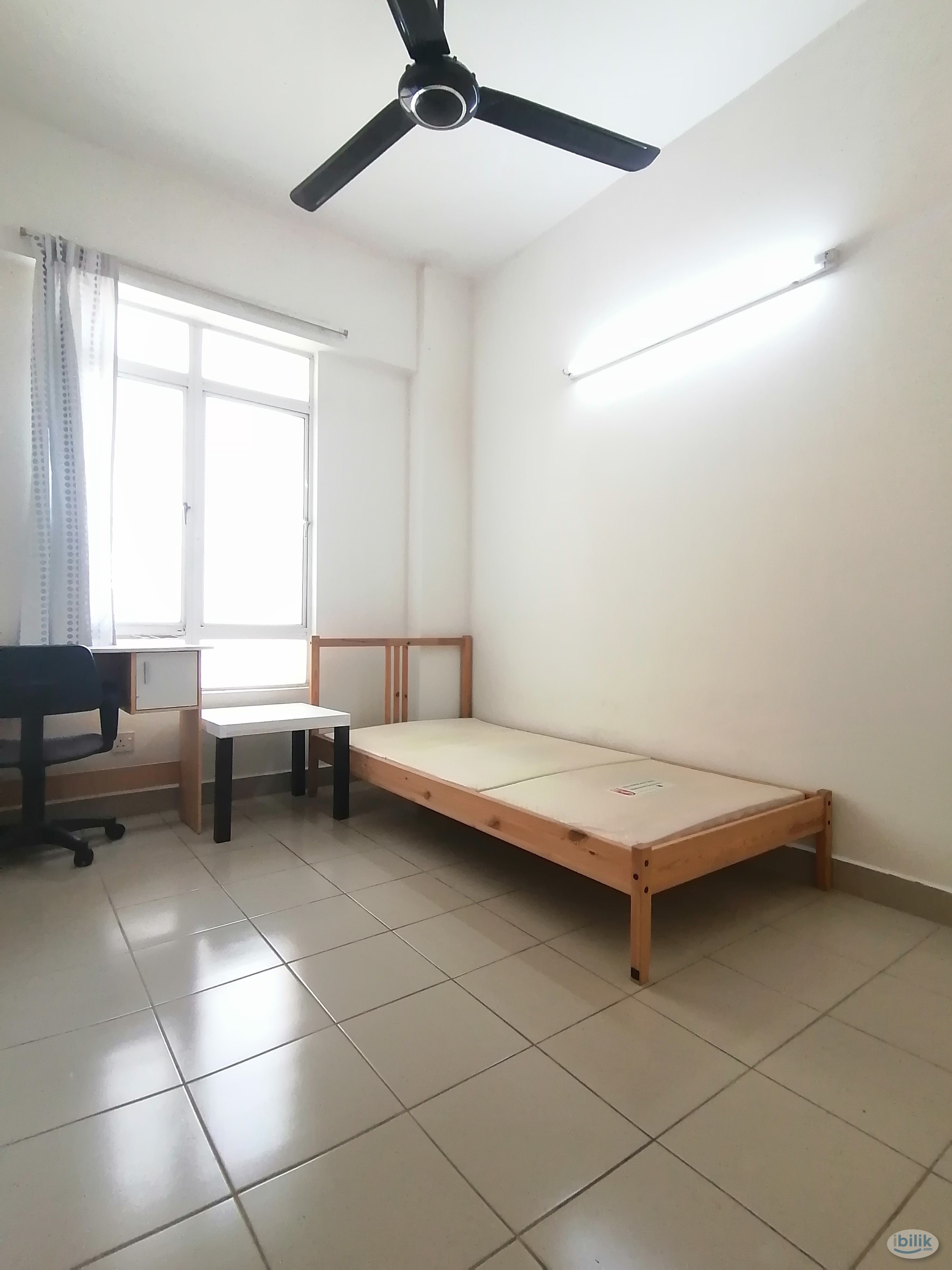 All Female Unit - Single Room with Free Carpark - Image 3