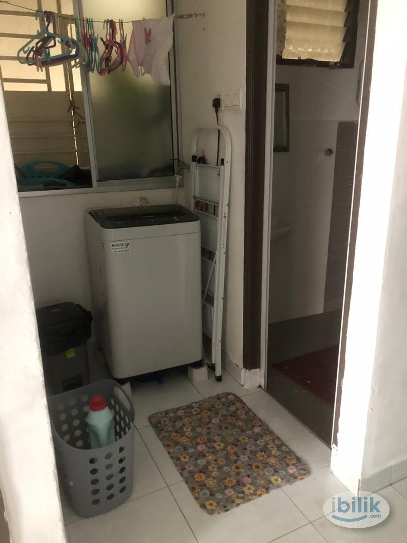 Halaman Kristal Blok 5, Jelutong Single room - Image 3