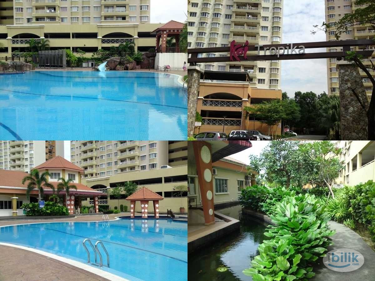 🔥Koi Tropika Condominium SINGLE ROOM rent Fully Furnished with WIFI & WATER FILTER🔥 - Image 5