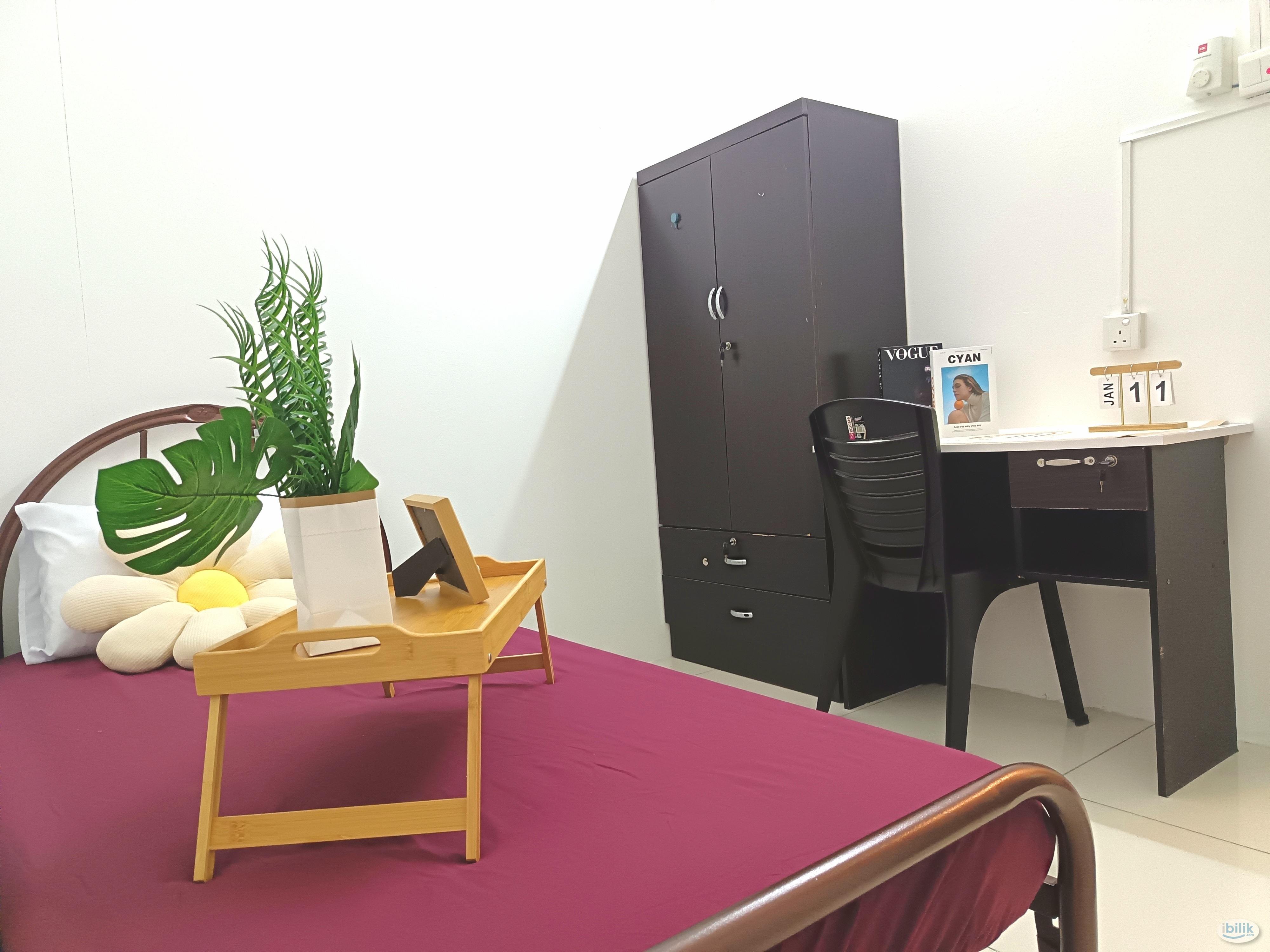 Single Room at Sierra East, Relau - Image 5