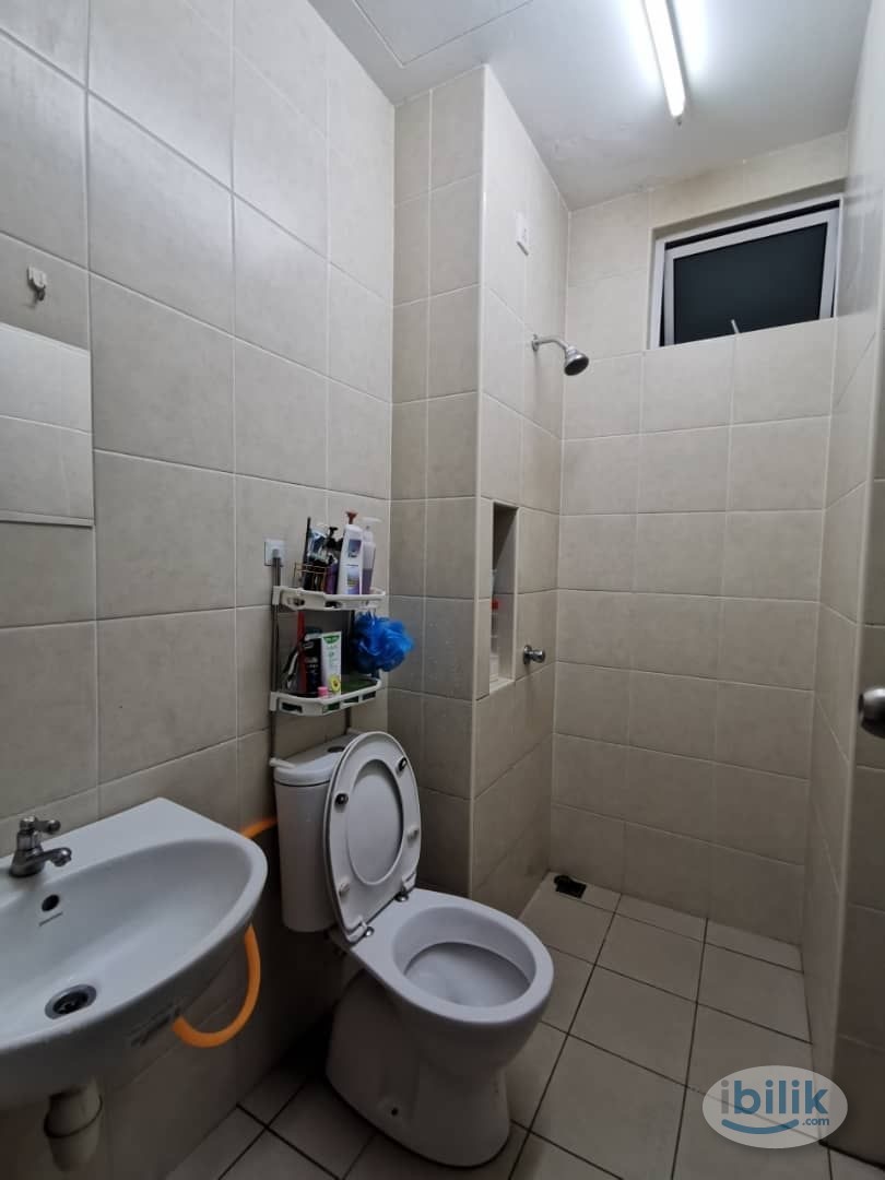 Avenue Garden Simpang Ampat Single Room for Rent - Image 2