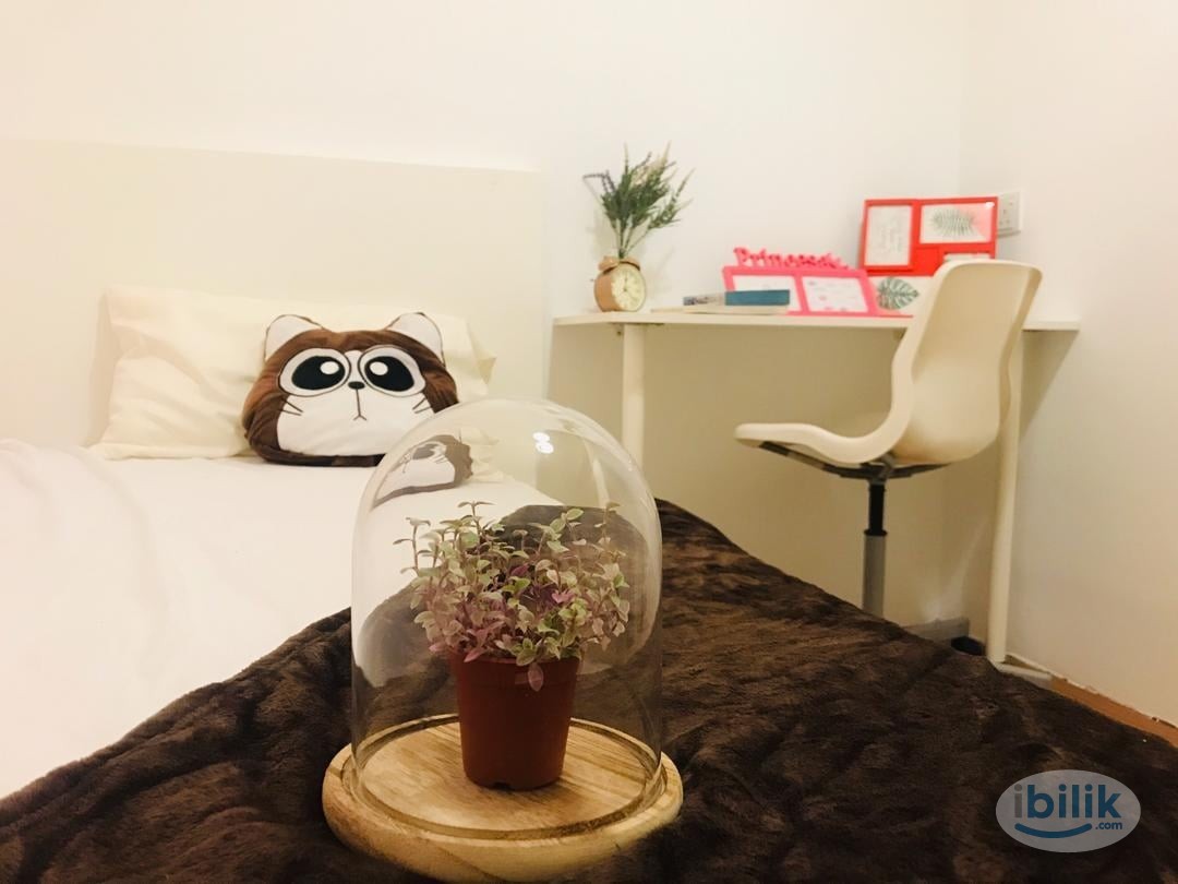 🌟Clean, Nice and Fully Furnished Room to Rent with Private Bathroom - Image 3