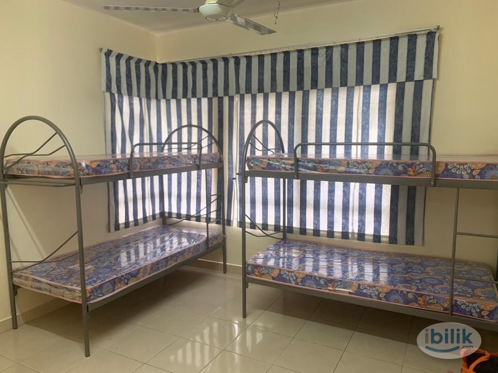 RM 250 ONLY POLYTEKNIK SHAH ALAM - Image 2