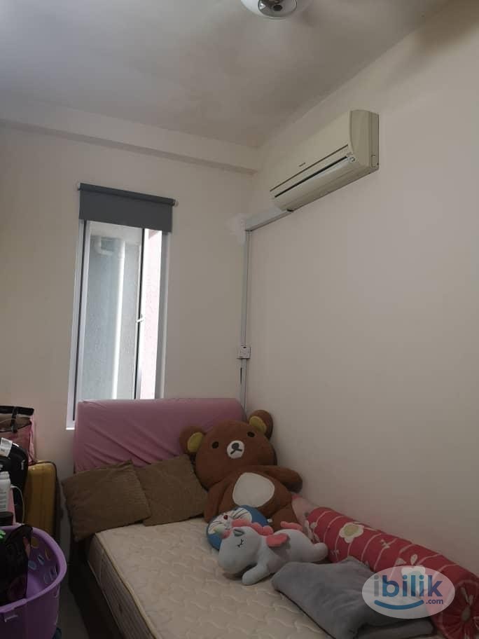 Casa Tropicana New Blk E Single Room To Let (Preferably Female Working Professional) - Image 1