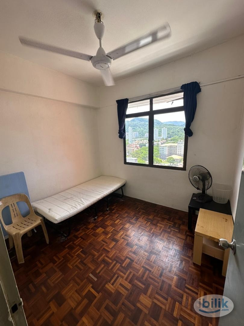USM : University Heights : Room for Rent : RM400-RM500 - Image 2