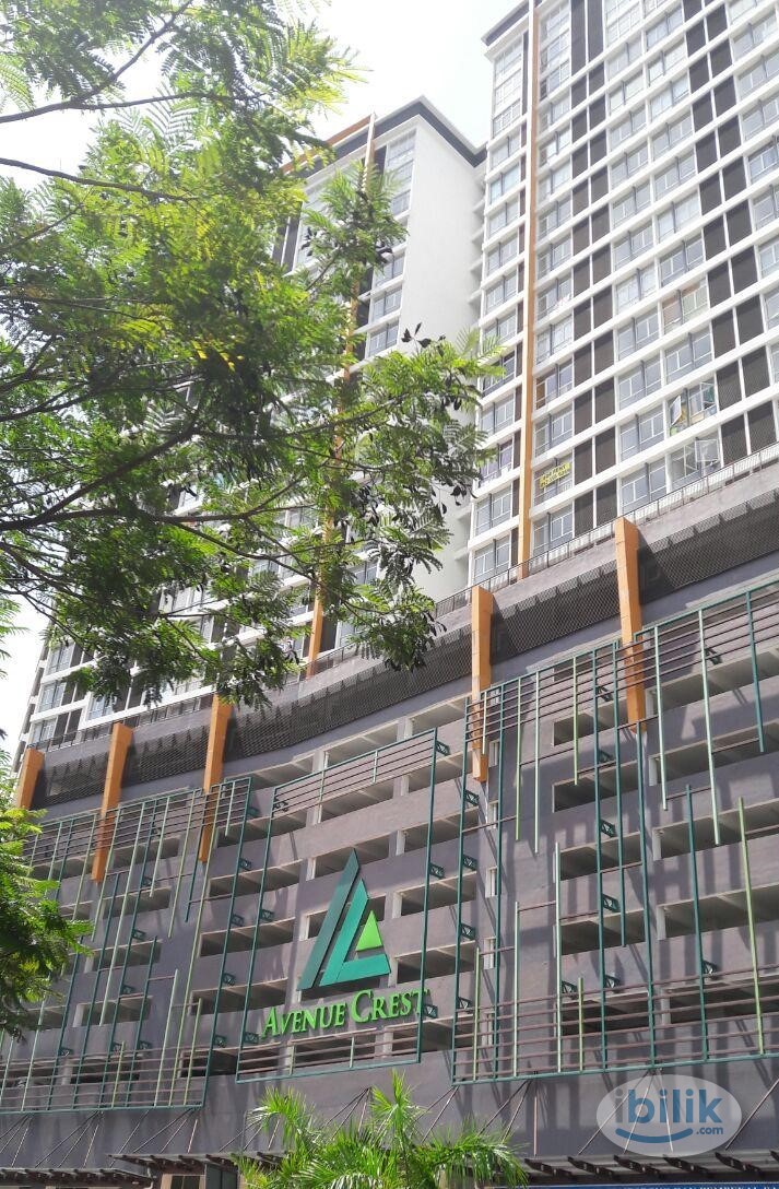 Single small Room Avenue Crest, Shah Alam,Batu 3 , Sek 22. Near Glenmarie .24 HOUR SECURITY !!Nearby have Giant, Tesco,  - Image 2