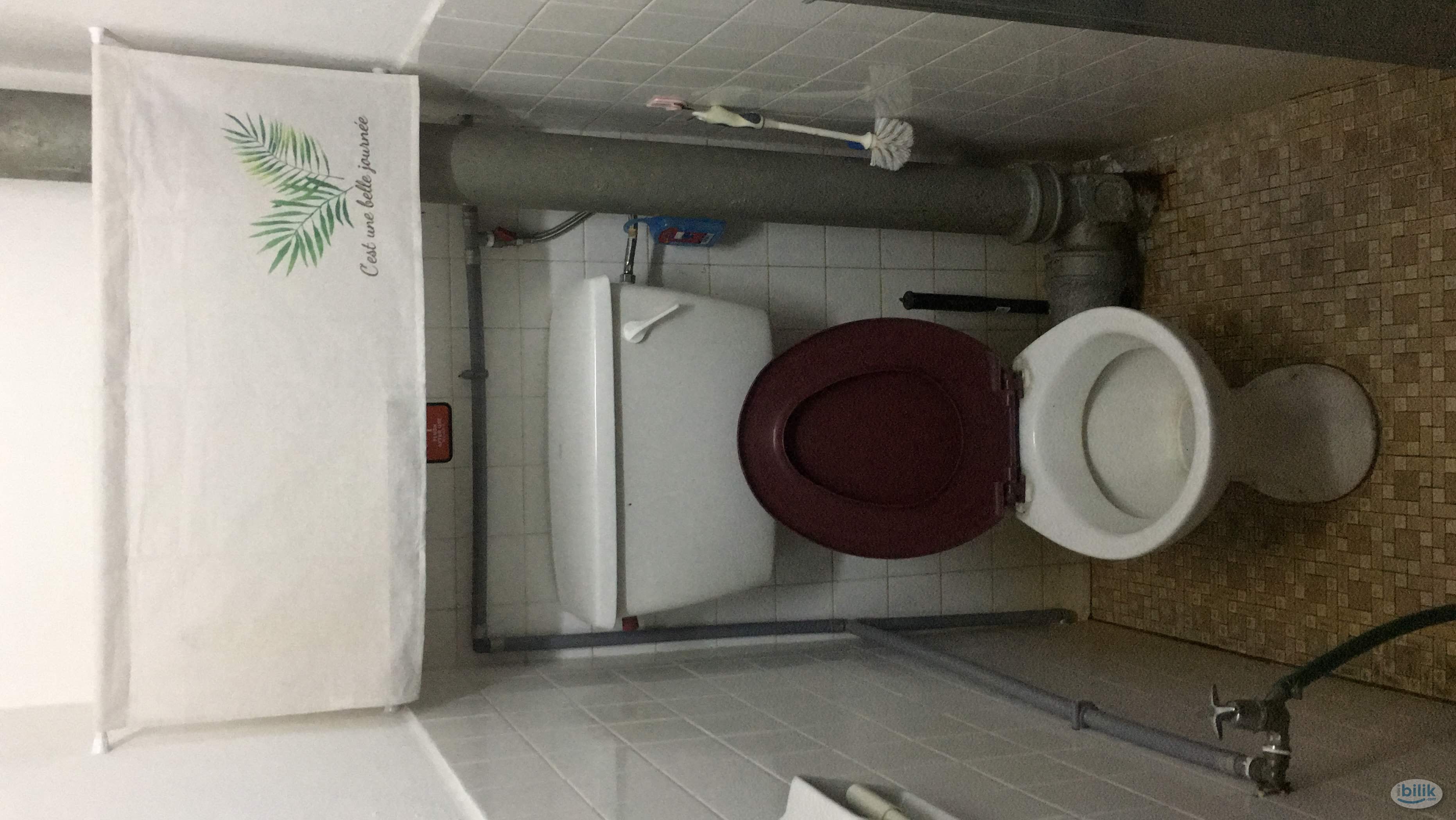 Single Room in Sungai Dua (Near USM, LOTUS), F.F. - Image 2