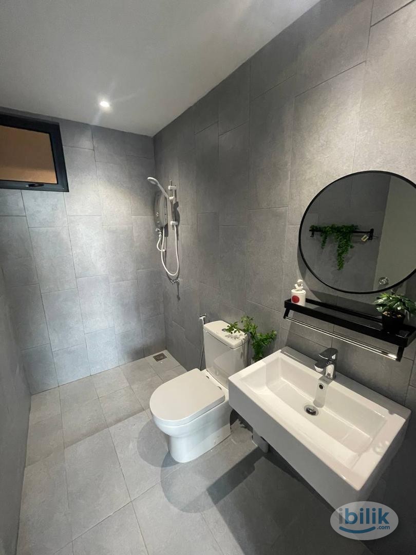 ONE EQUINE MEDIUM FULLY FURNISHED - Image 4