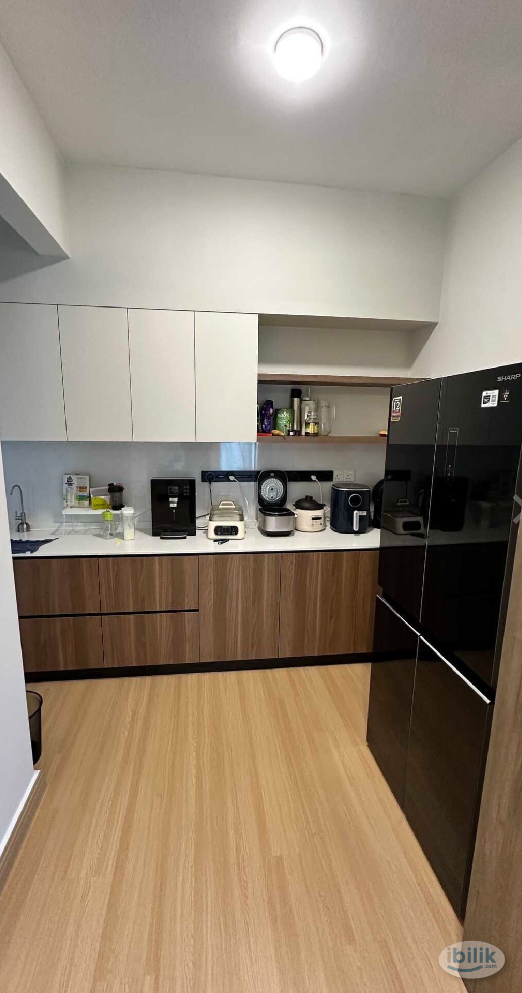 A condo common room with a private bathroom for the tenant's own use. - Image 2