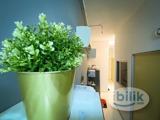 Single Room at Avenue Crest, Section 22, Shah Alam - Image 4