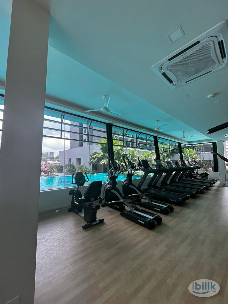 Majestic Maxim single room for rent - Image 5