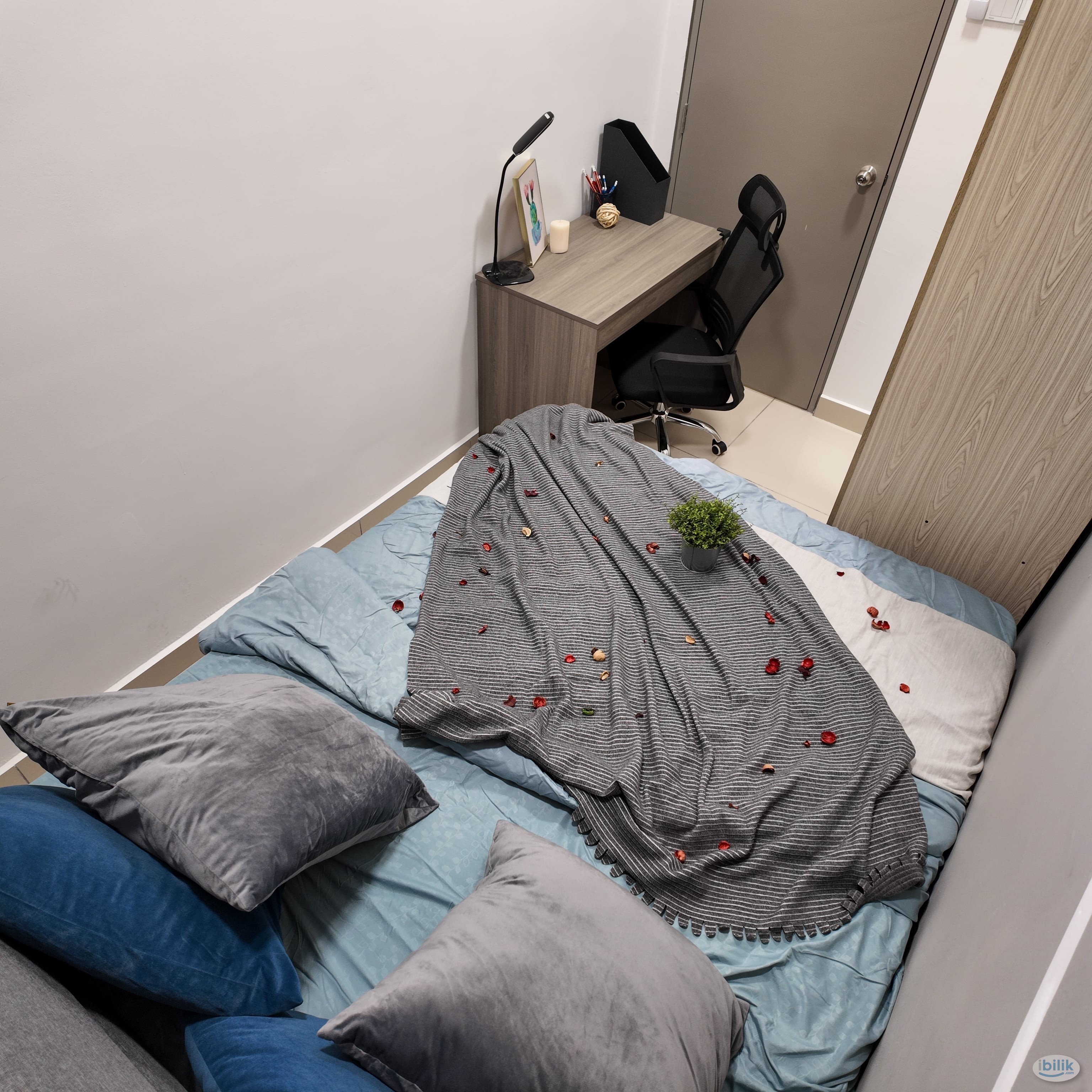 D7 (Blok Seven) Lagoon Perdana Condo Small Bedroom Unit NEW FURNITURES - Image 1