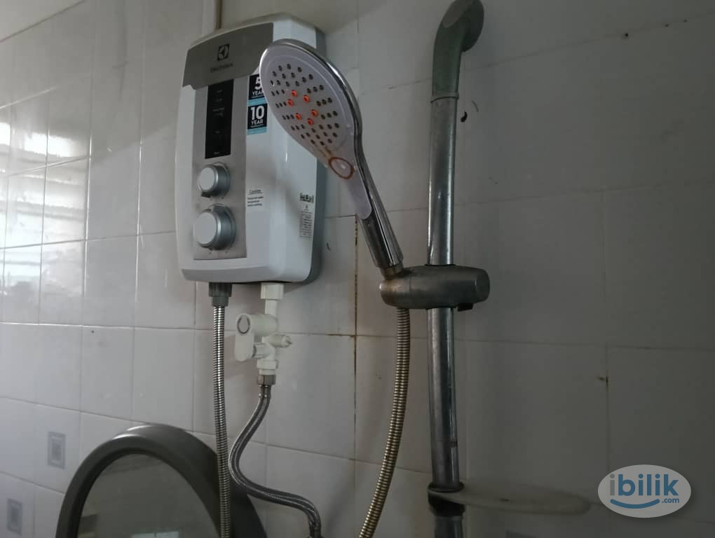 Single Room at Springfield Condo in Sungai Ara - Available immediately. No owner stay - Image 4