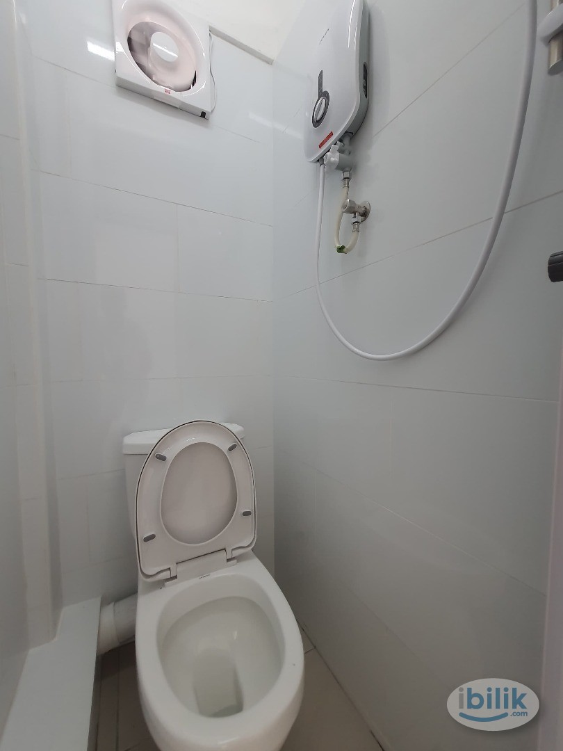 Single Room at Jelutong, Penang - Image 4