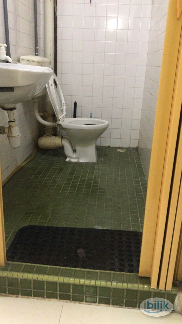 New Painted Single Room to Rent - Image 2